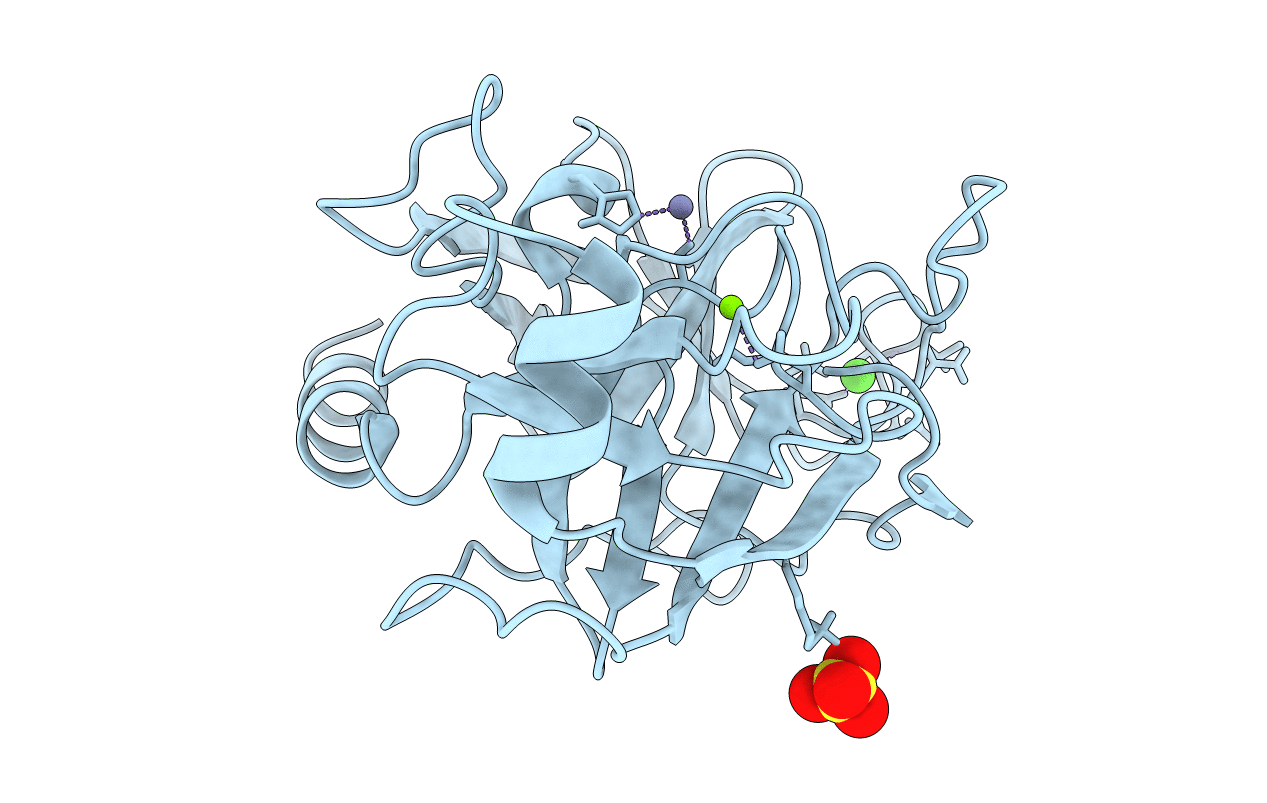 1C2M image
