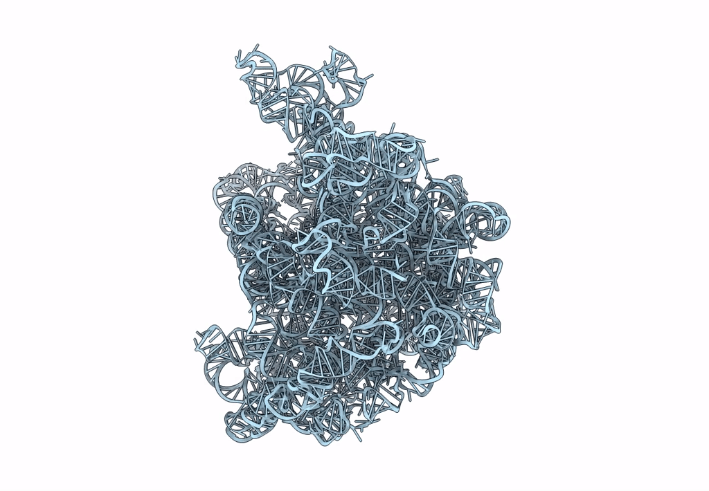 1C2W image