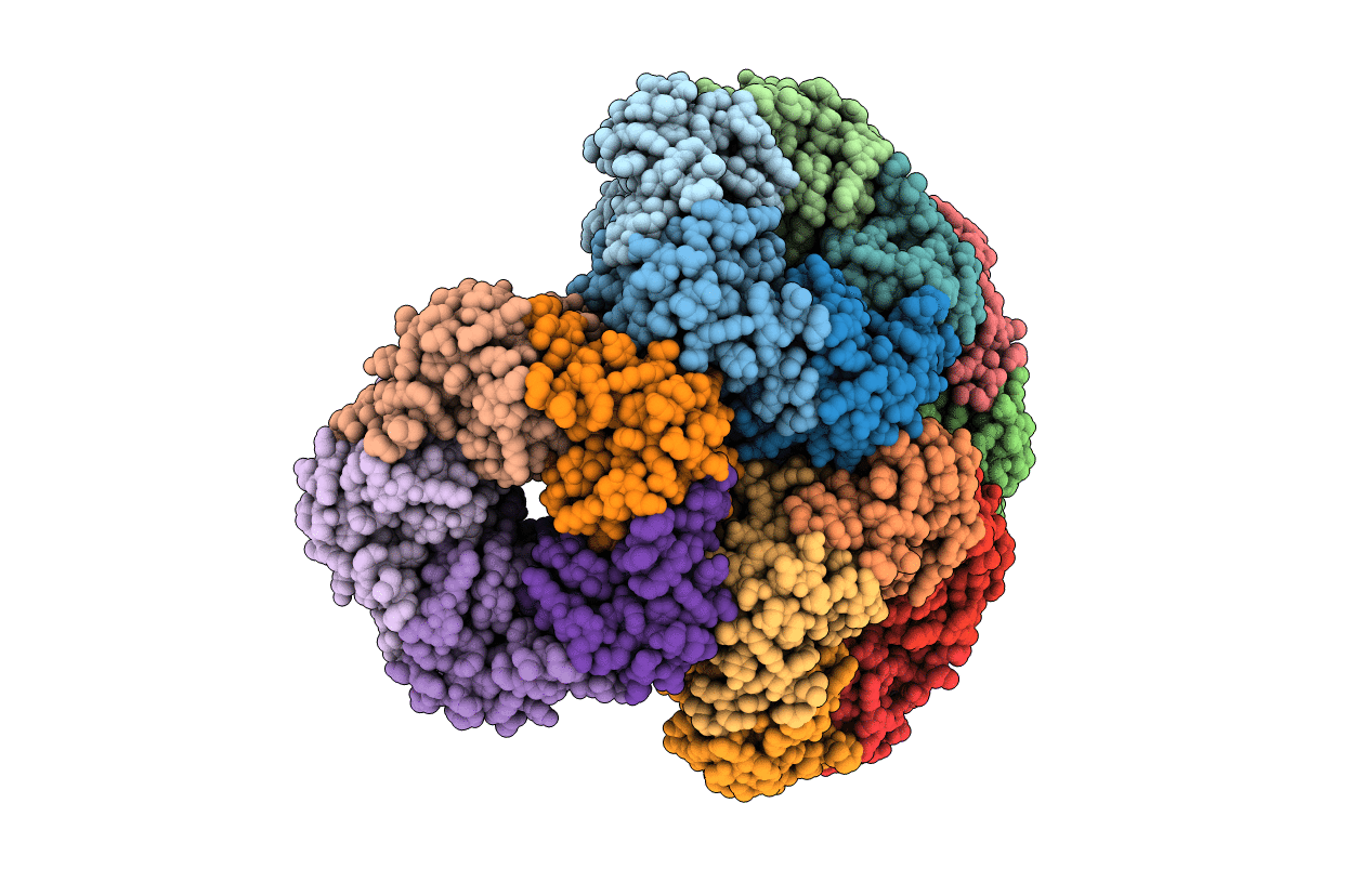 1C2Y image