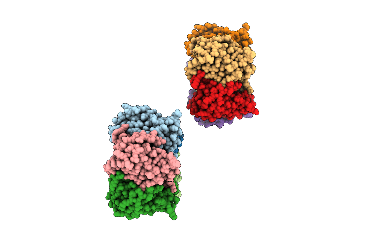 1C41 image