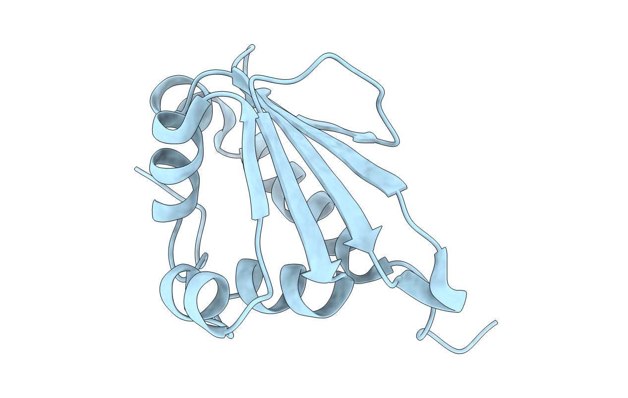 1C44 image