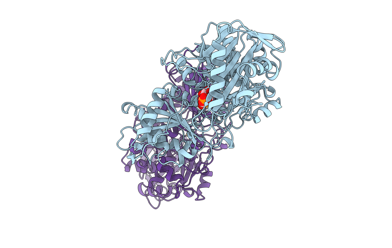 1C47 image