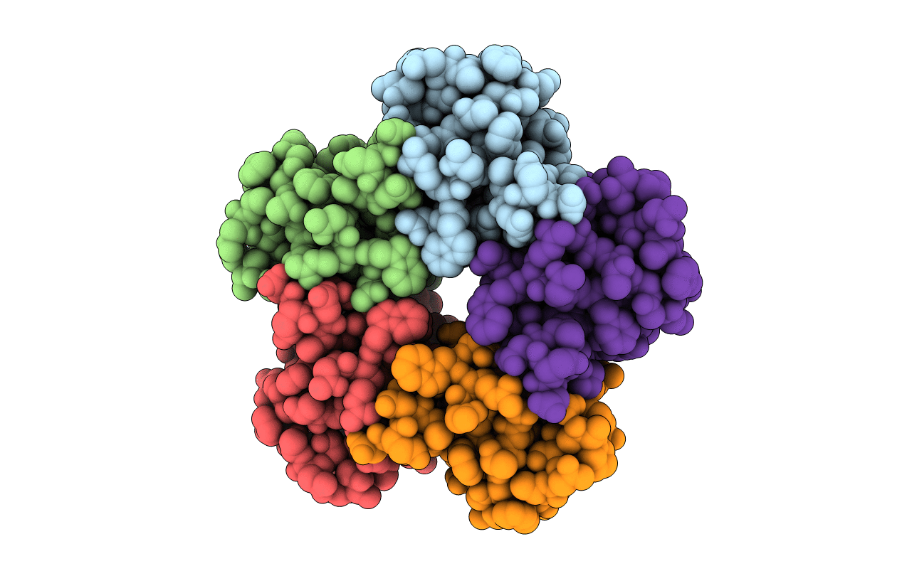 1C48 image