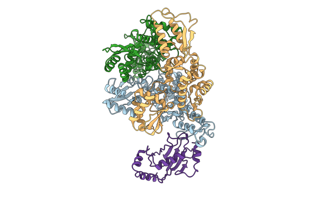 1C4Z image