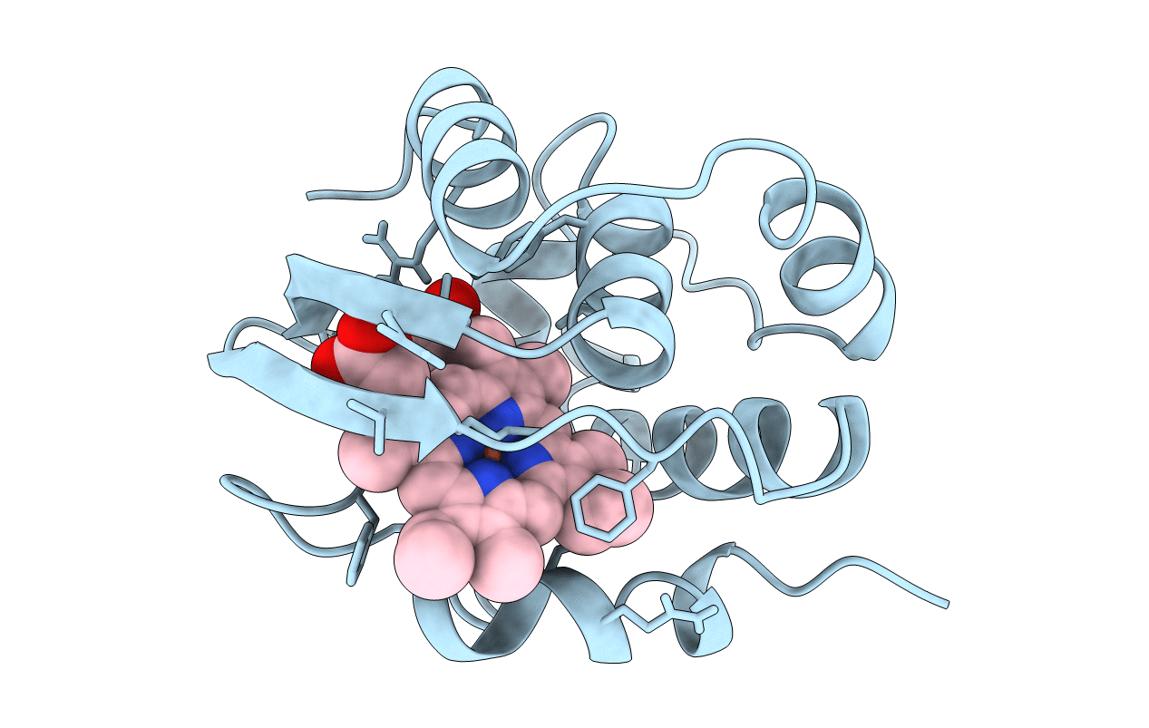 1C52 image