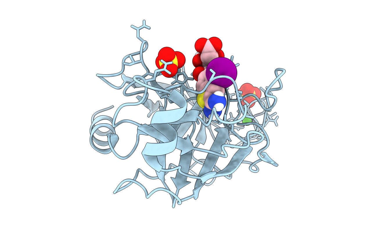 1C5R image