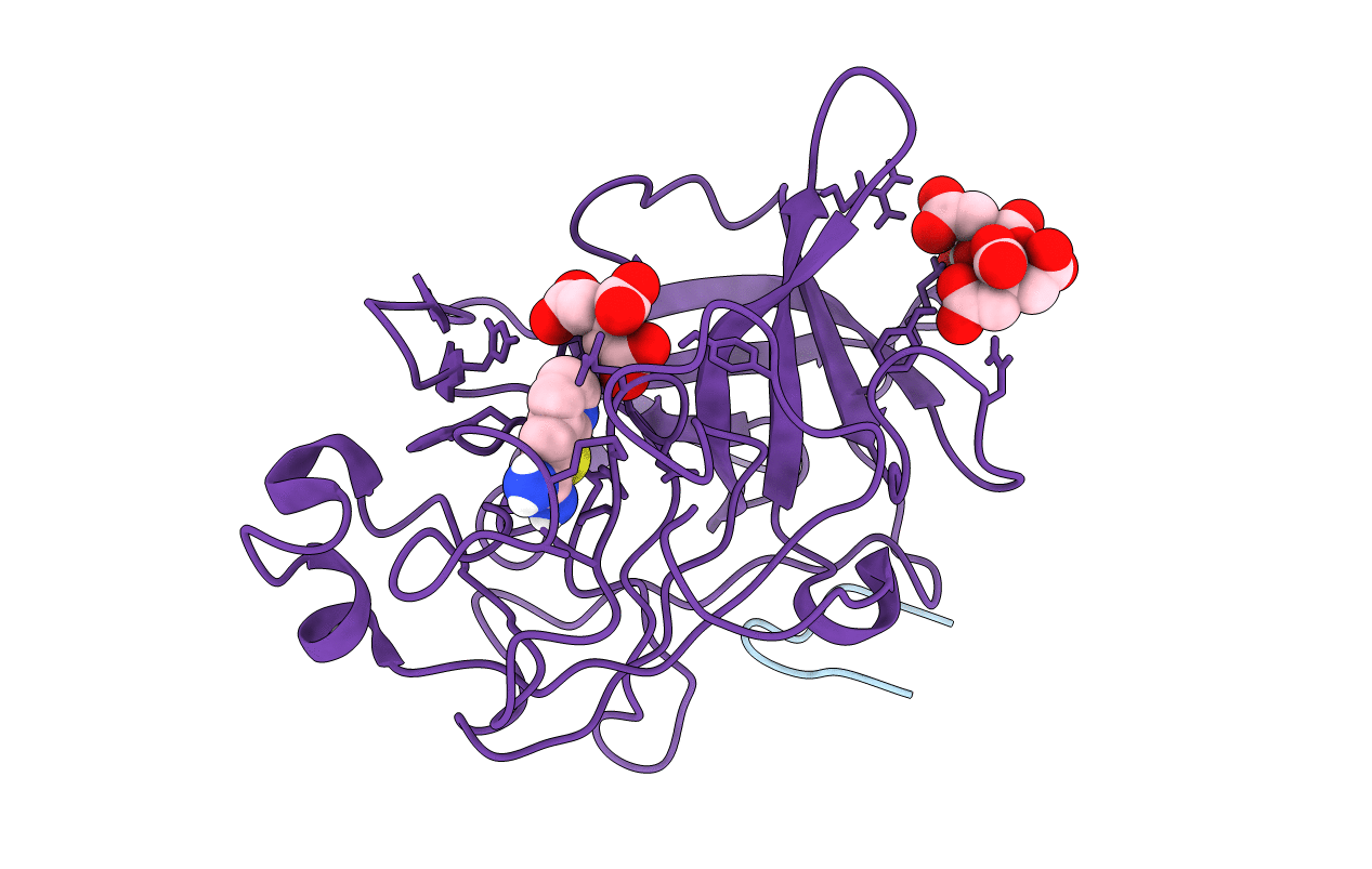 1C5Y image