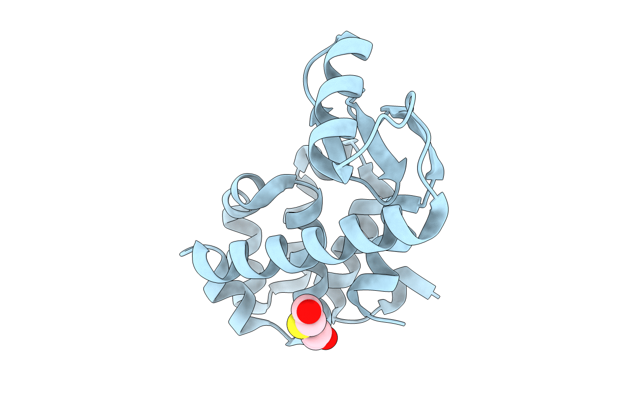 1C60 image