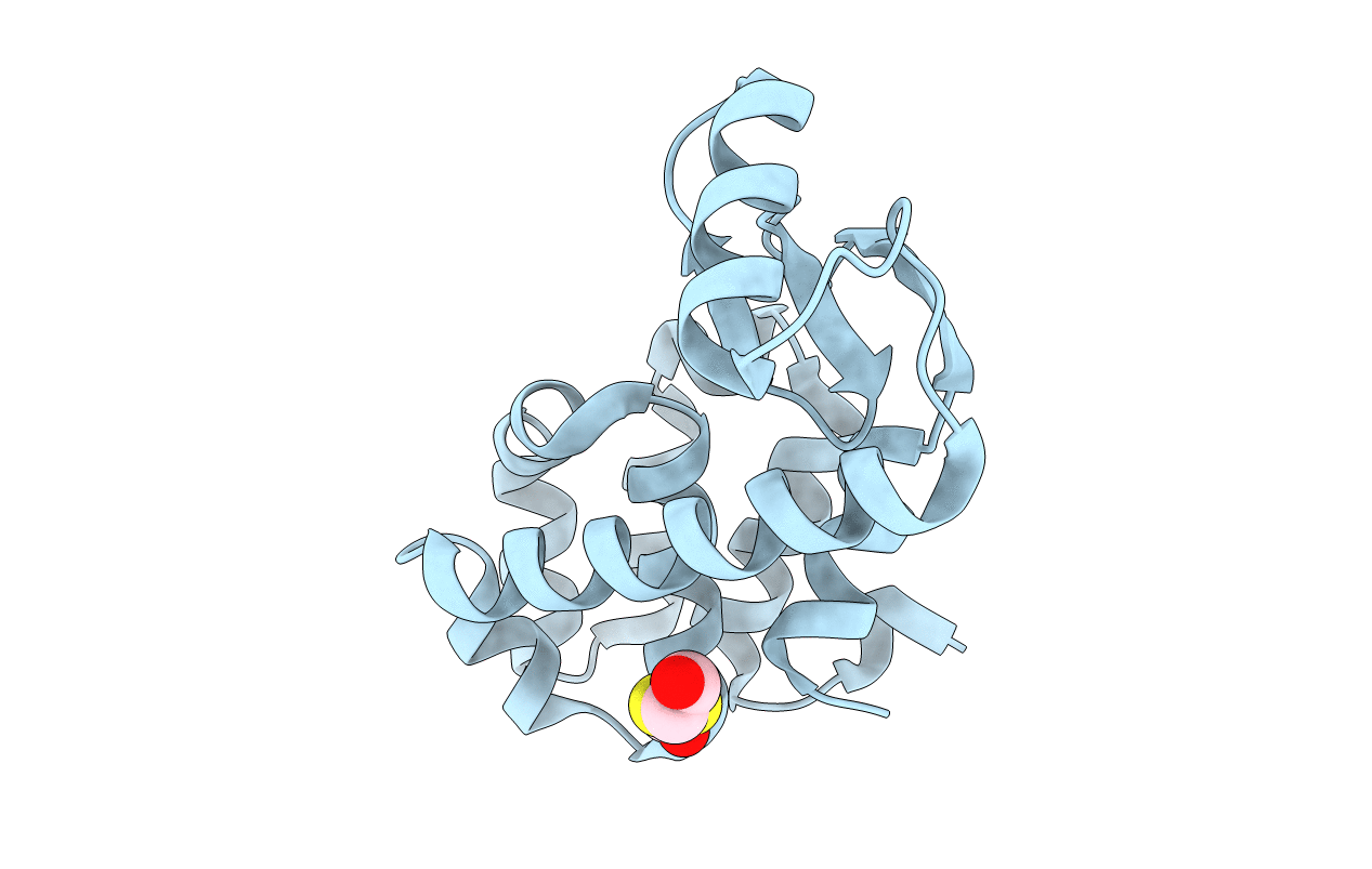 1C63 image