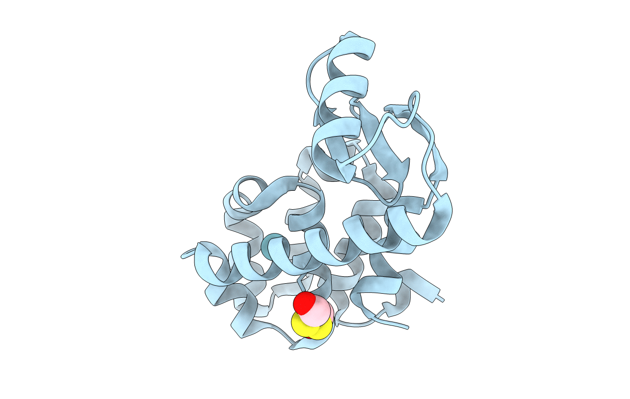 1C65 image