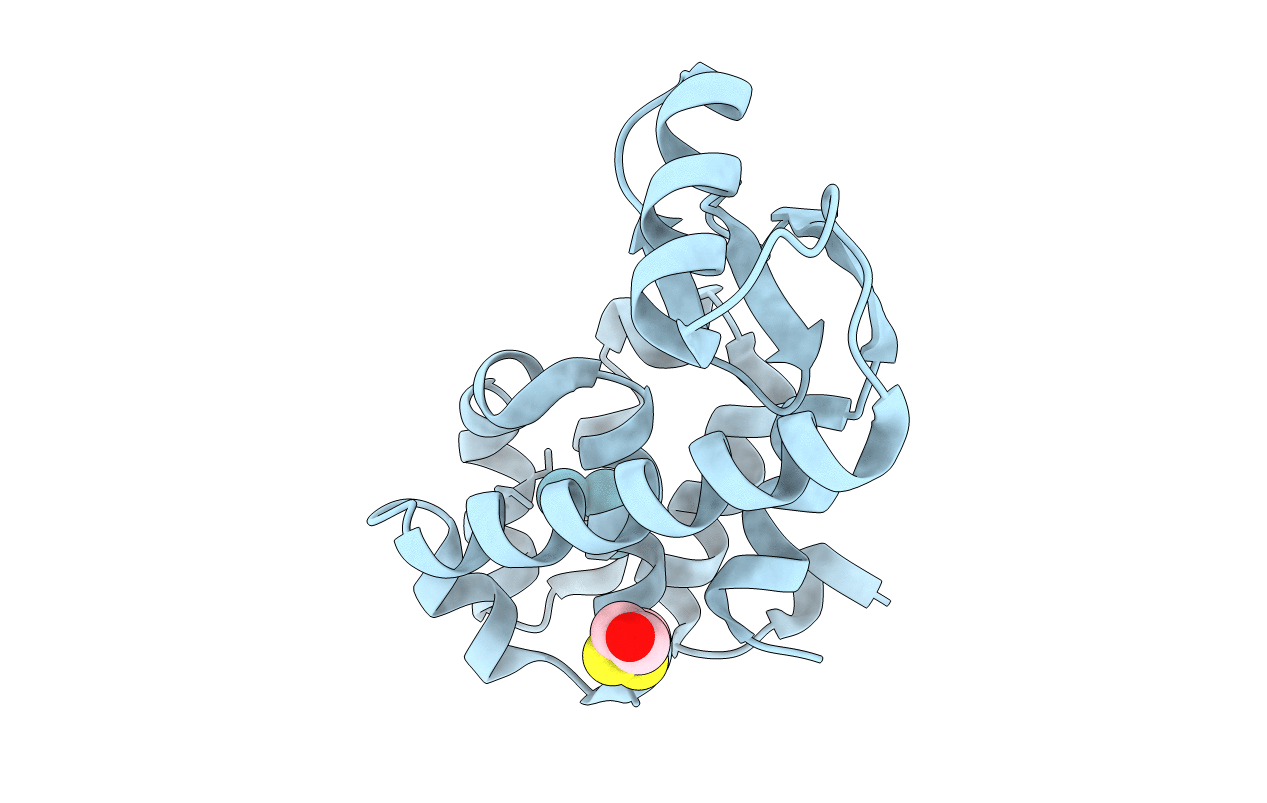 1C67 image