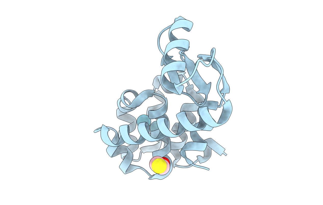 1C6A image