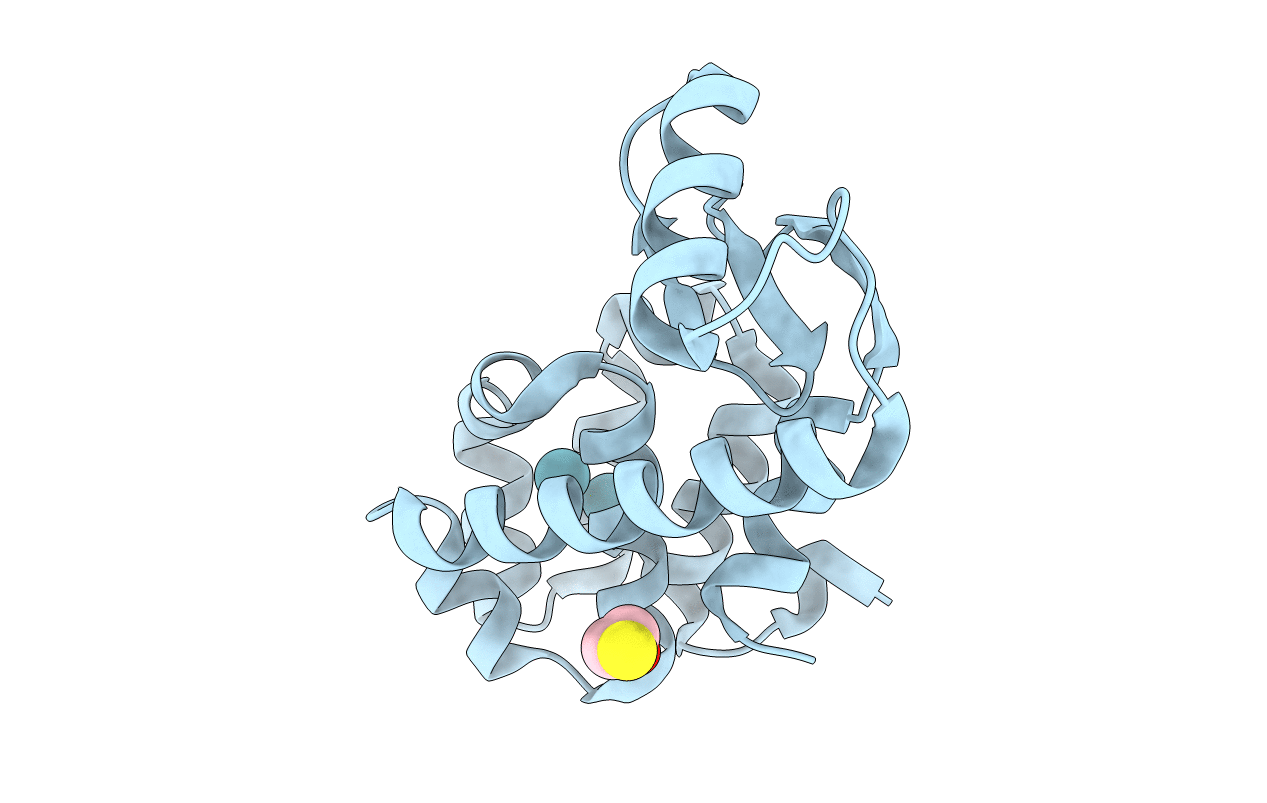 1C6B image