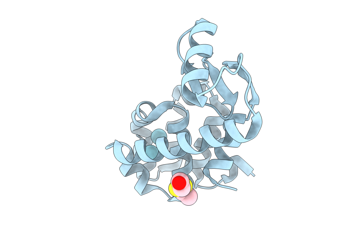 1C6C image