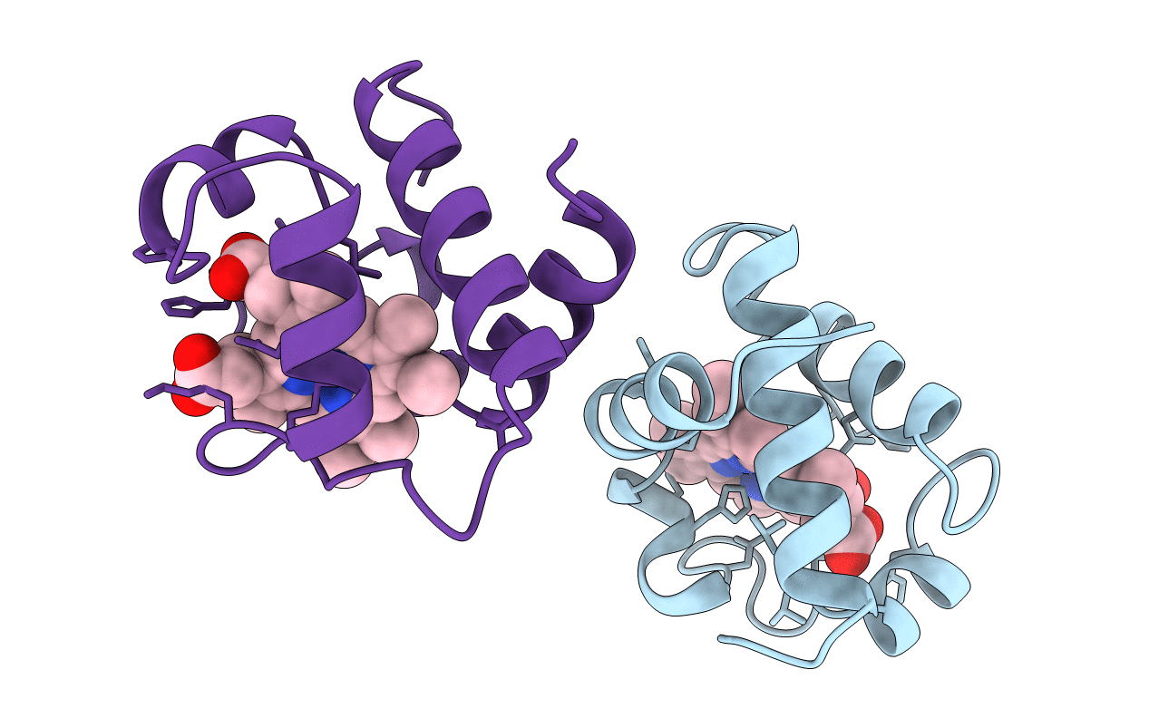 1C6O image