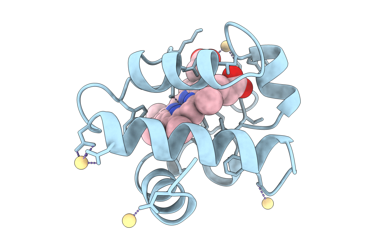 1C6R image