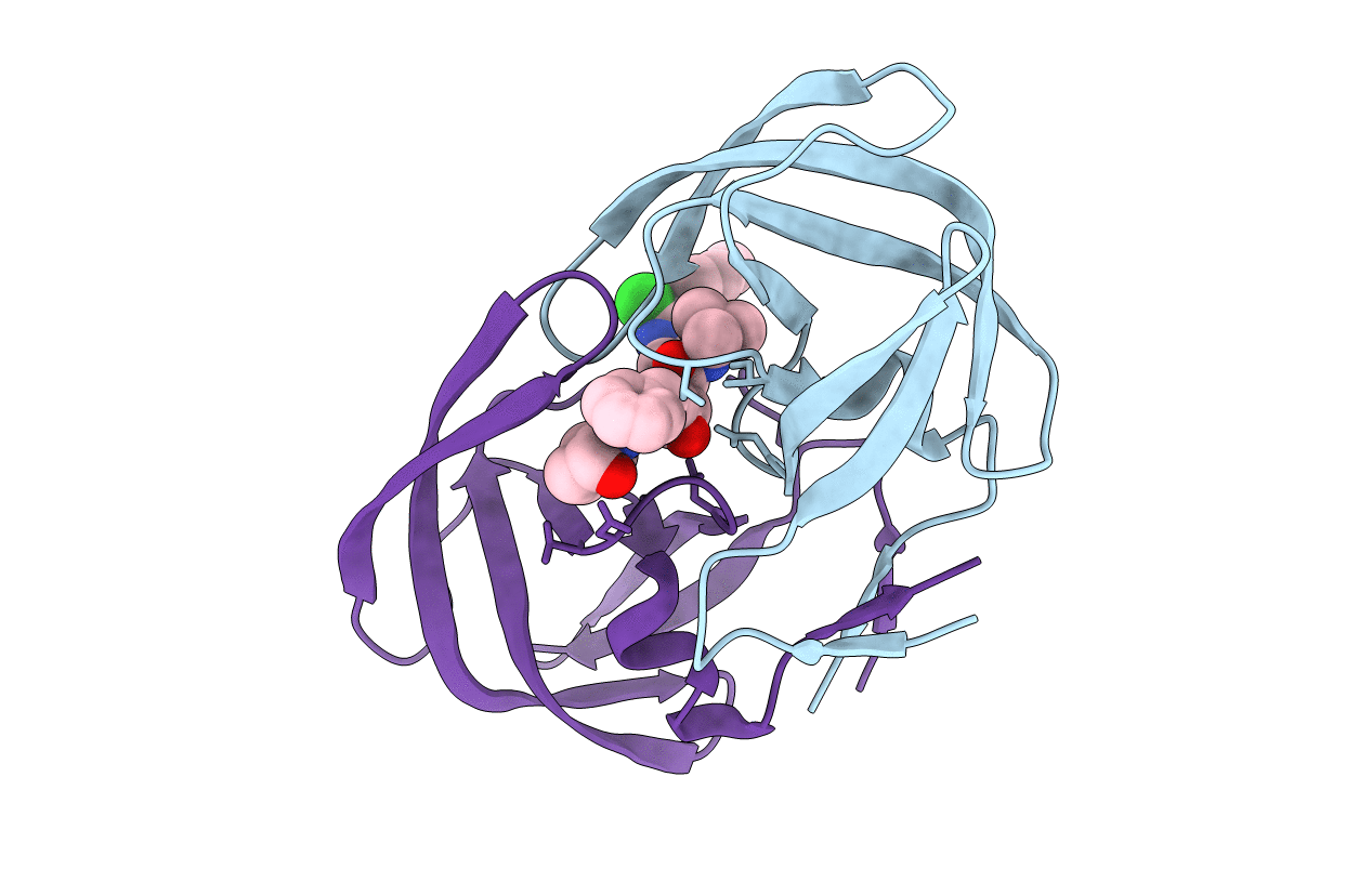 1C6X image