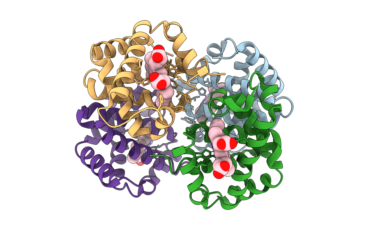 1C7B image