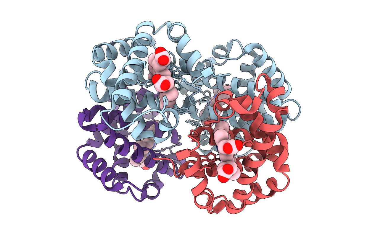 1C7C image
