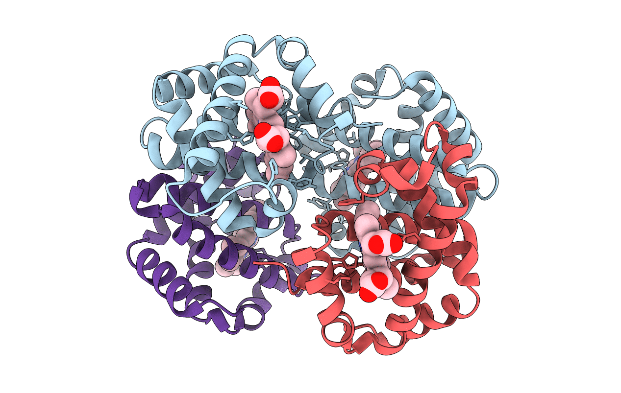 1C7D image