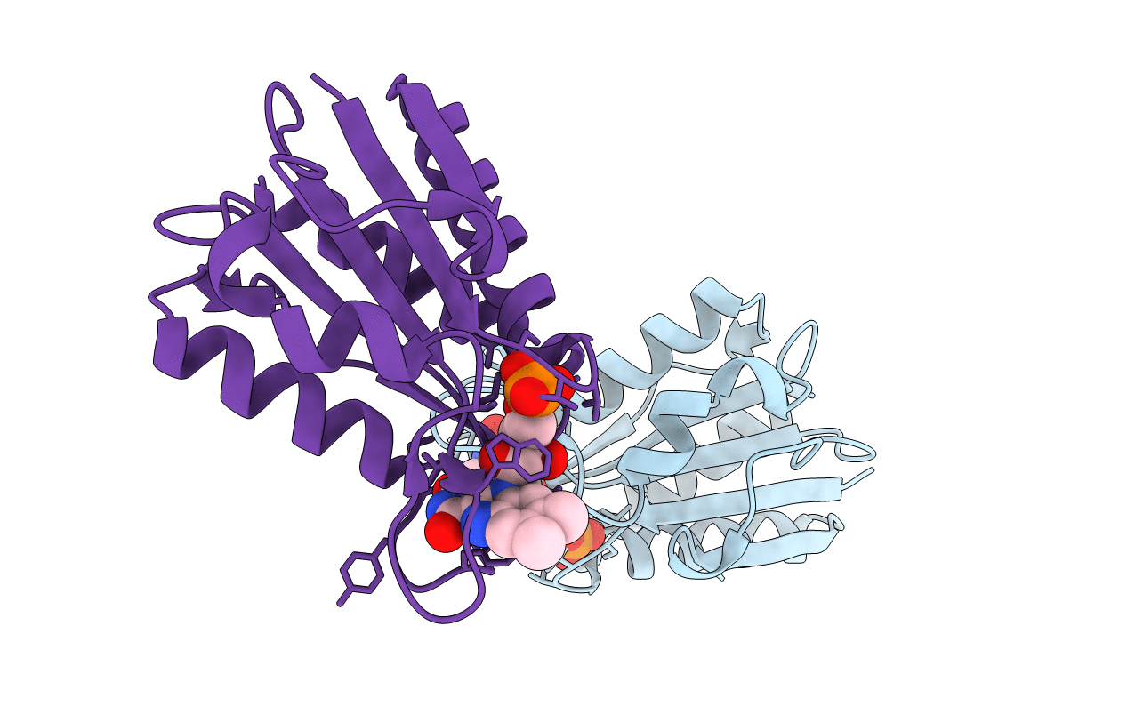 1C7F image