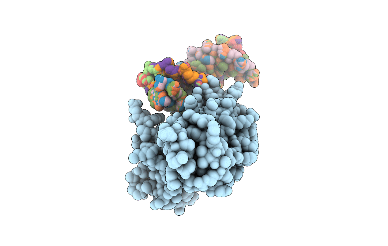 1C7Y image