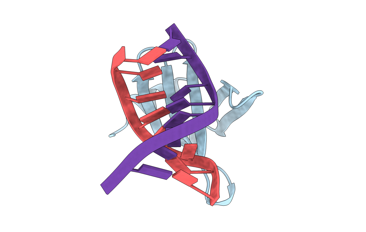 1C8C image