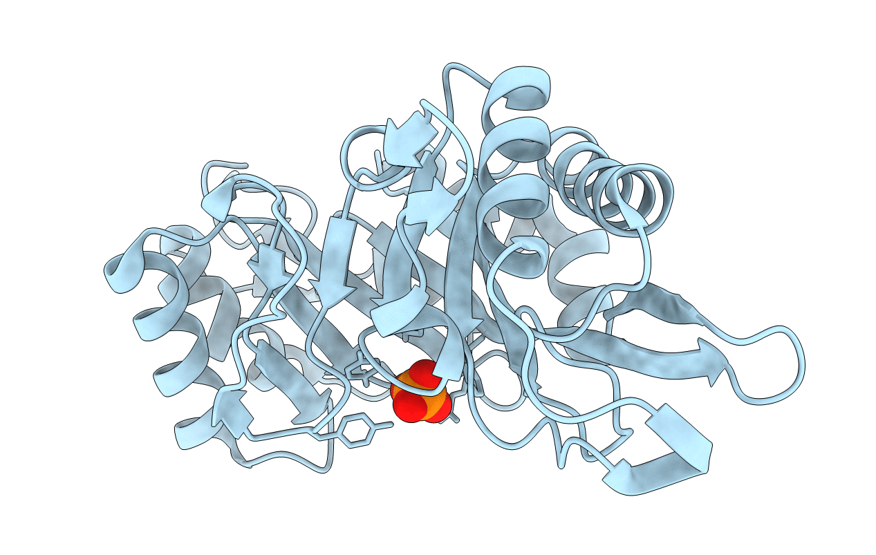 1C8X image