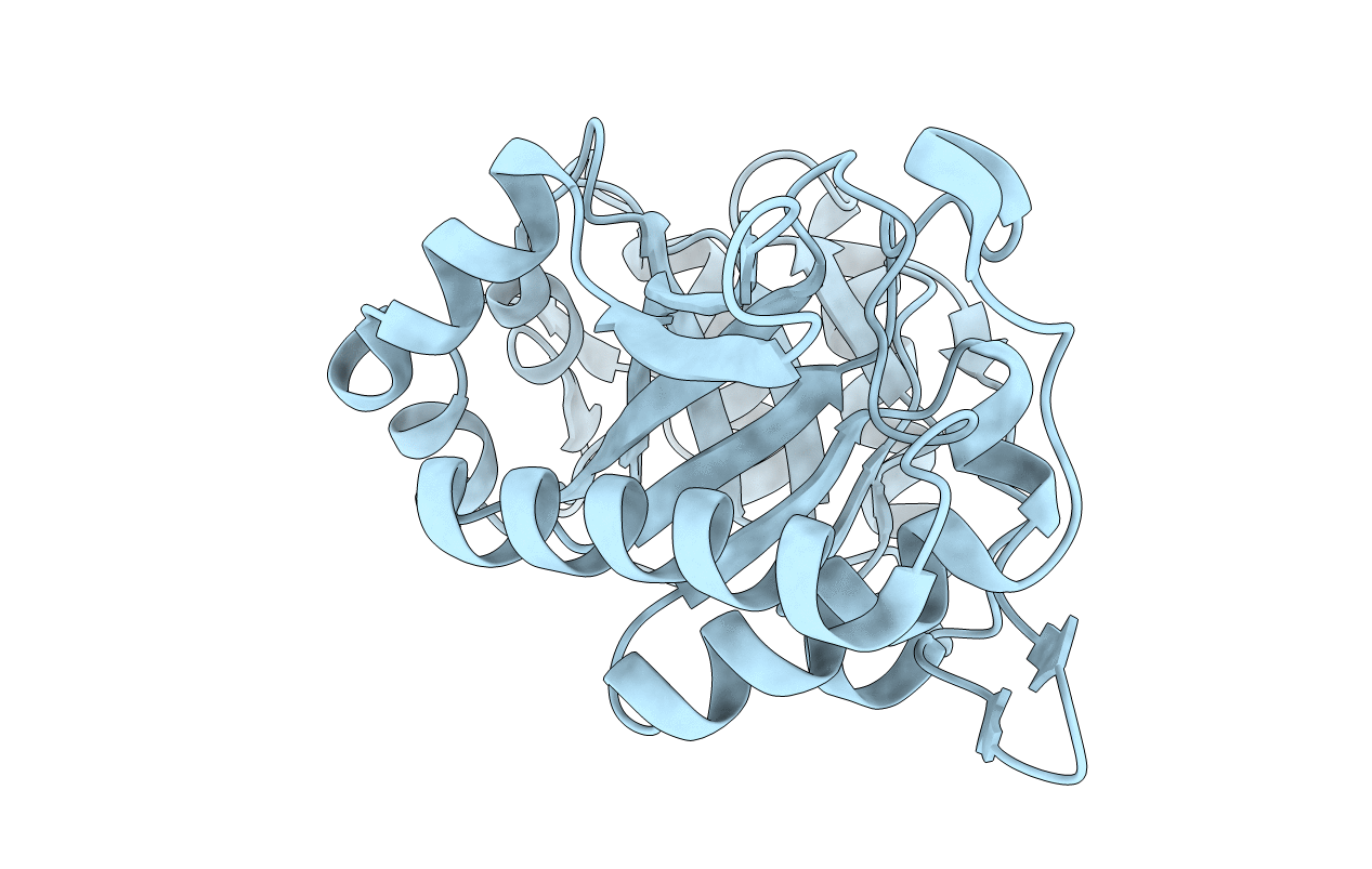 1C91 image
