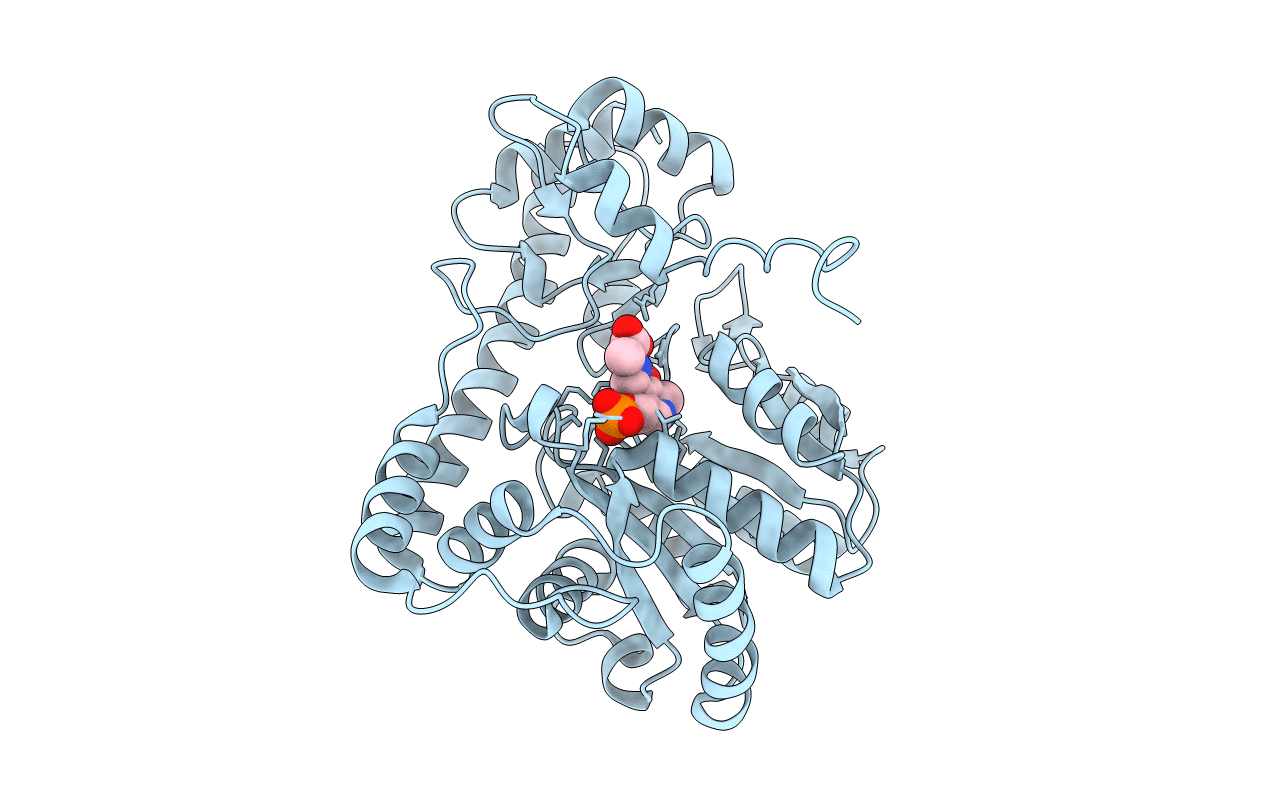 1C9C image