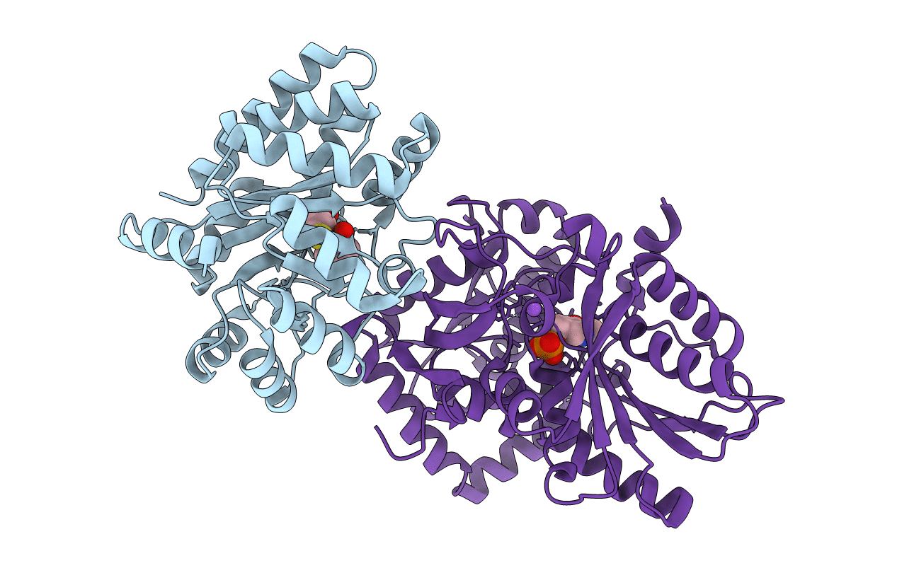 1C9D image