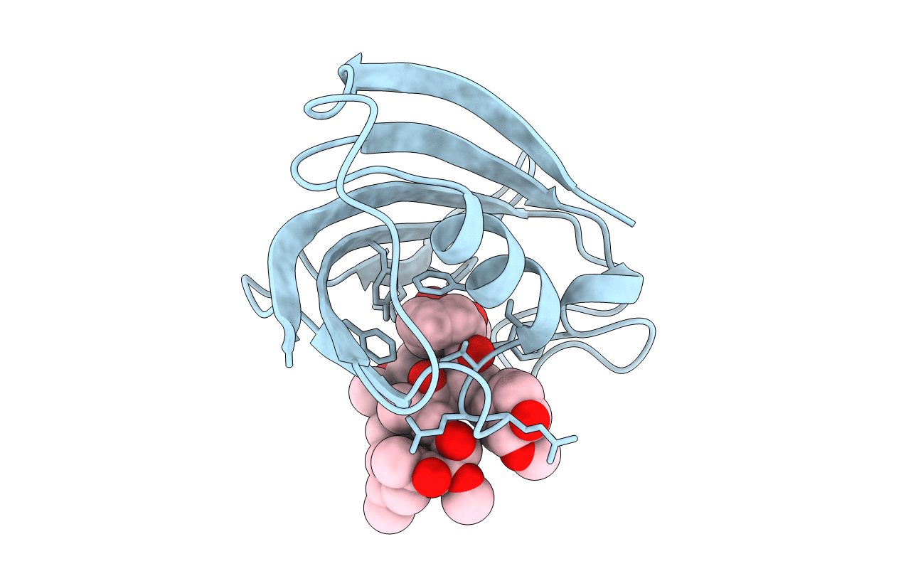 1C9H image