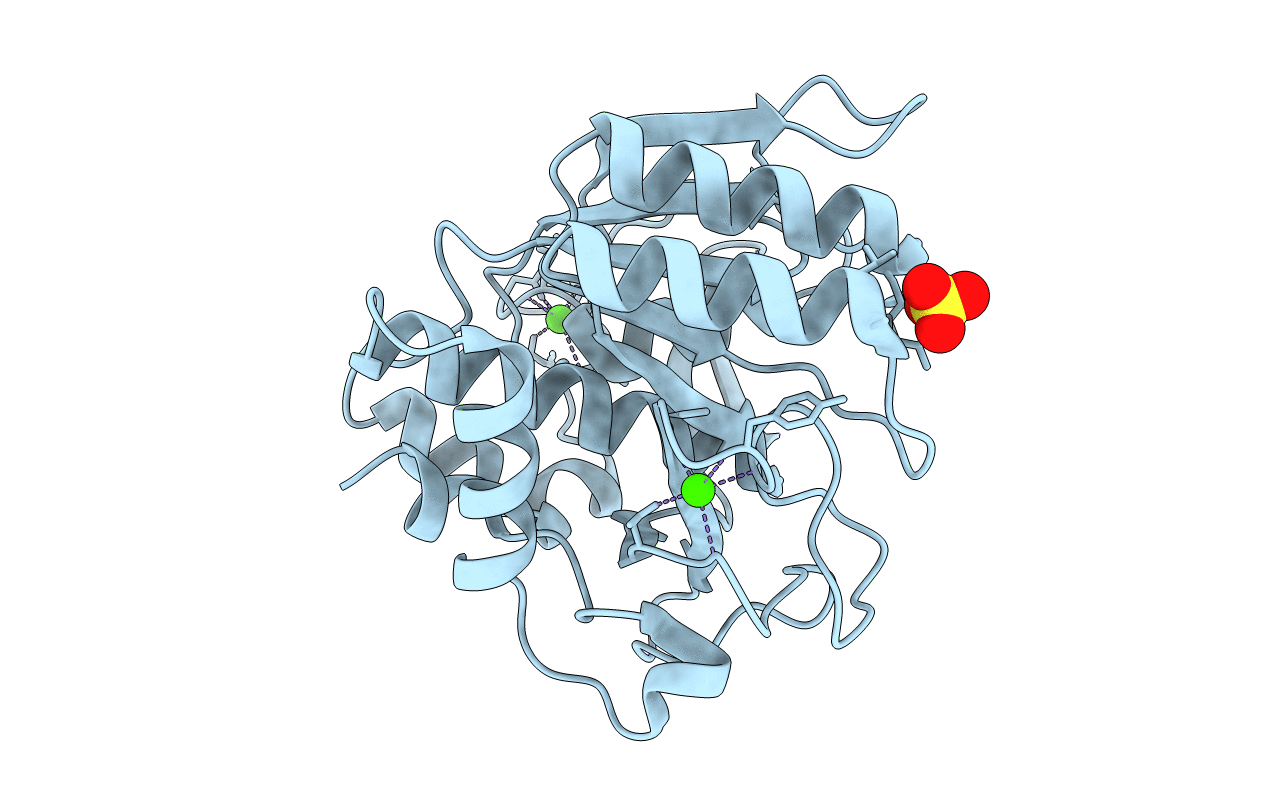1C9J image