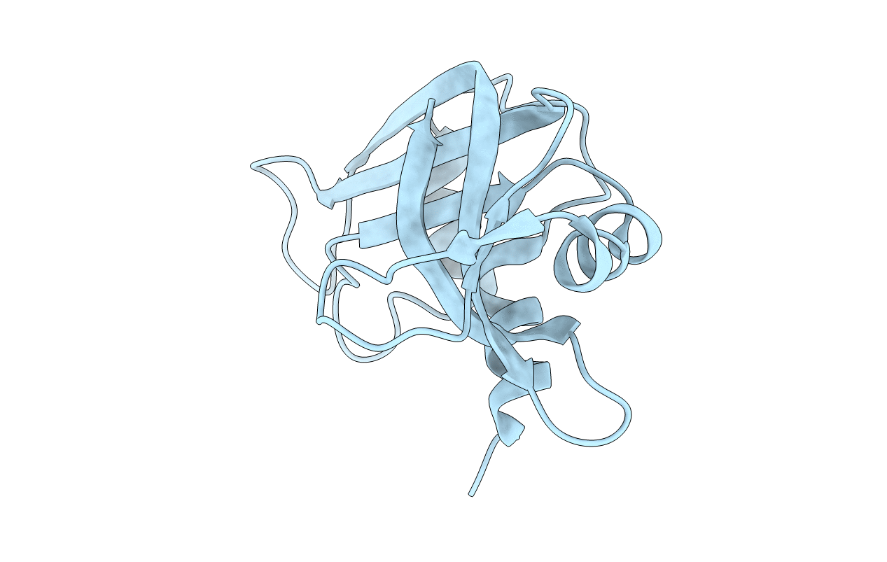 1C9X image