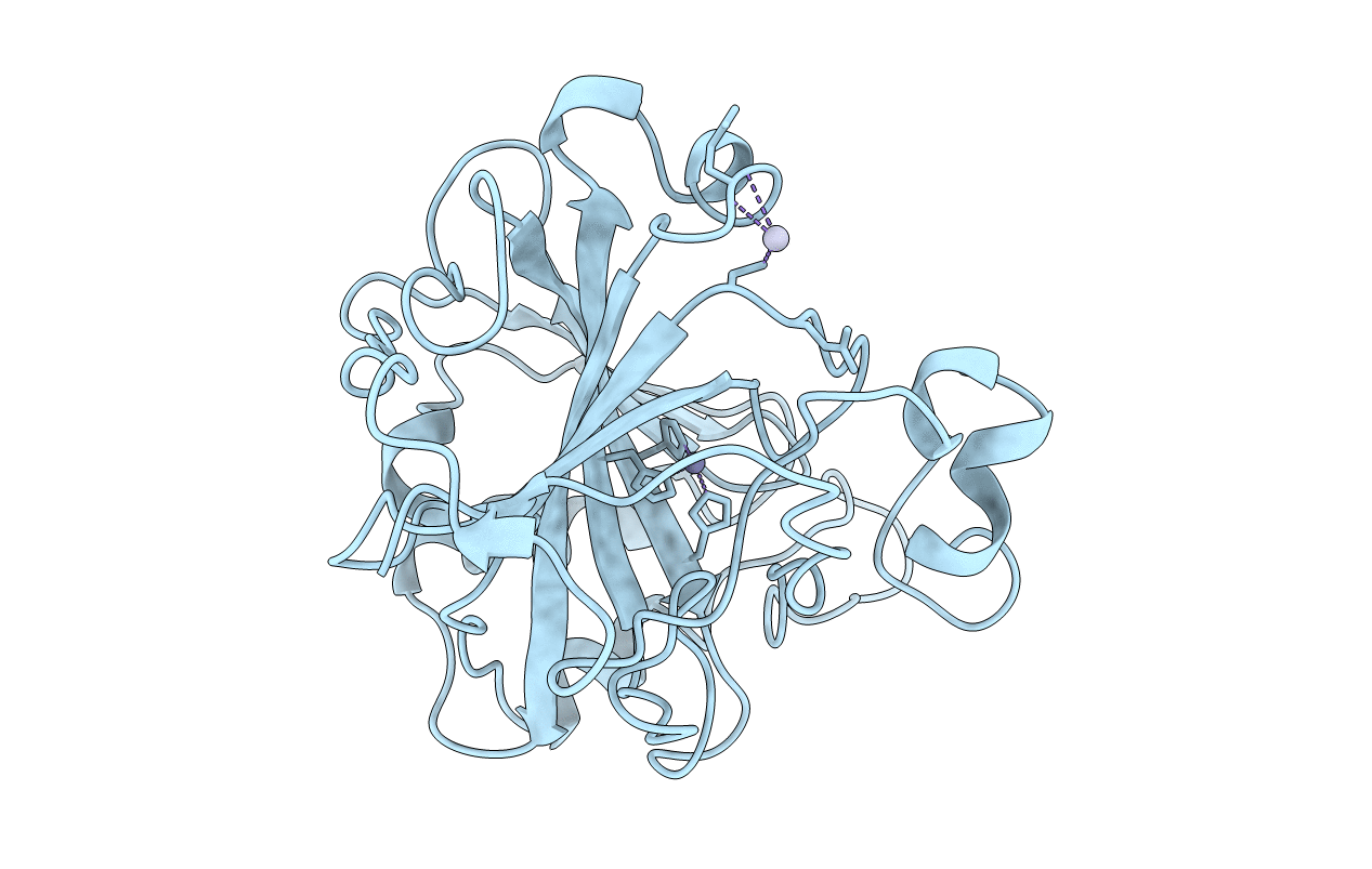 1CA3 image