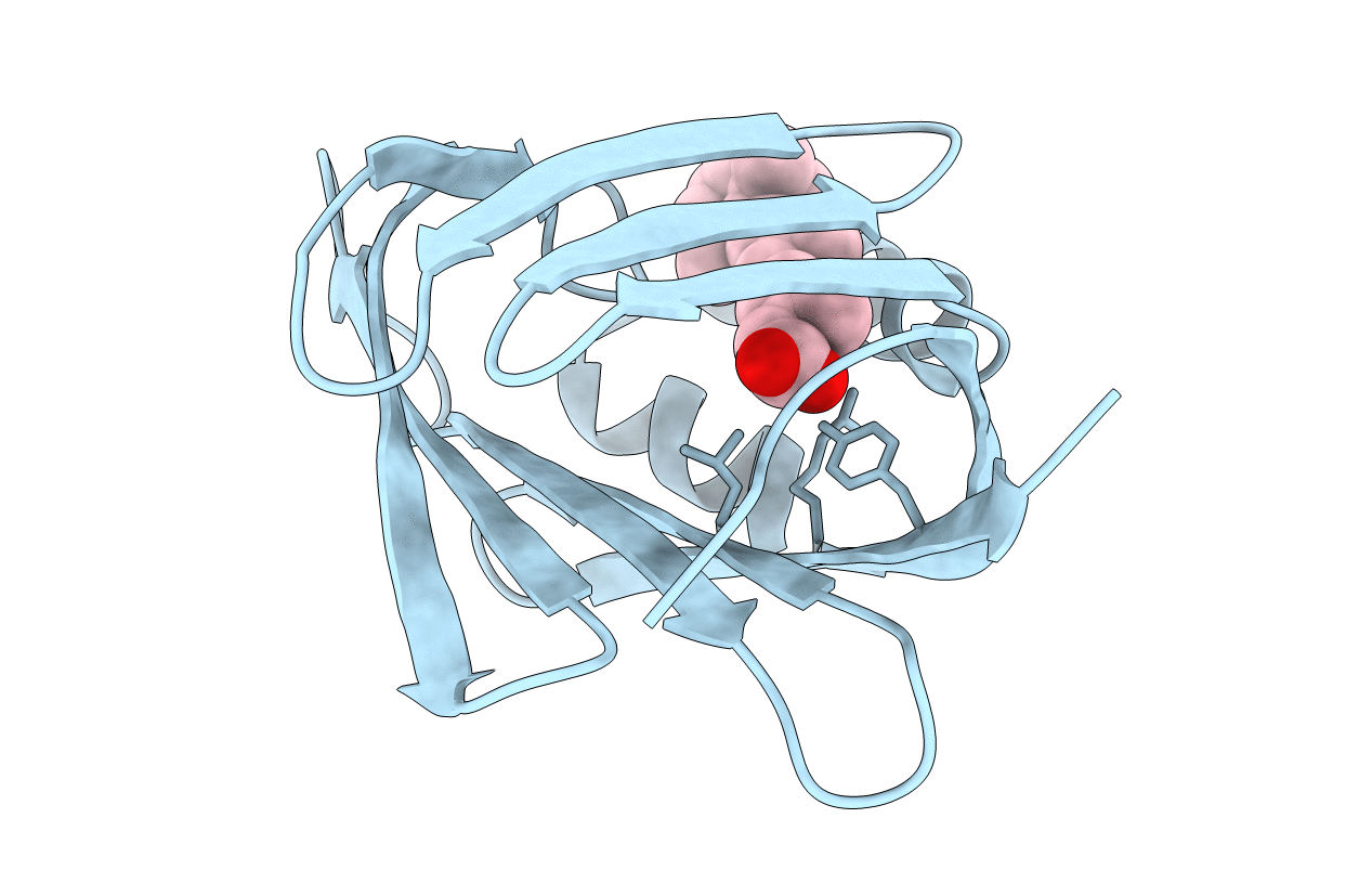 1CBS image
