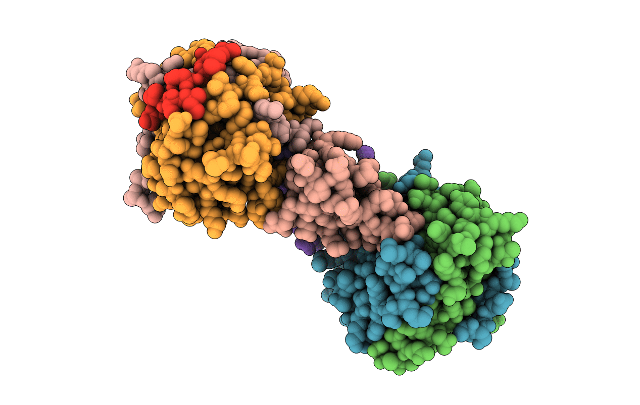 1CBW image