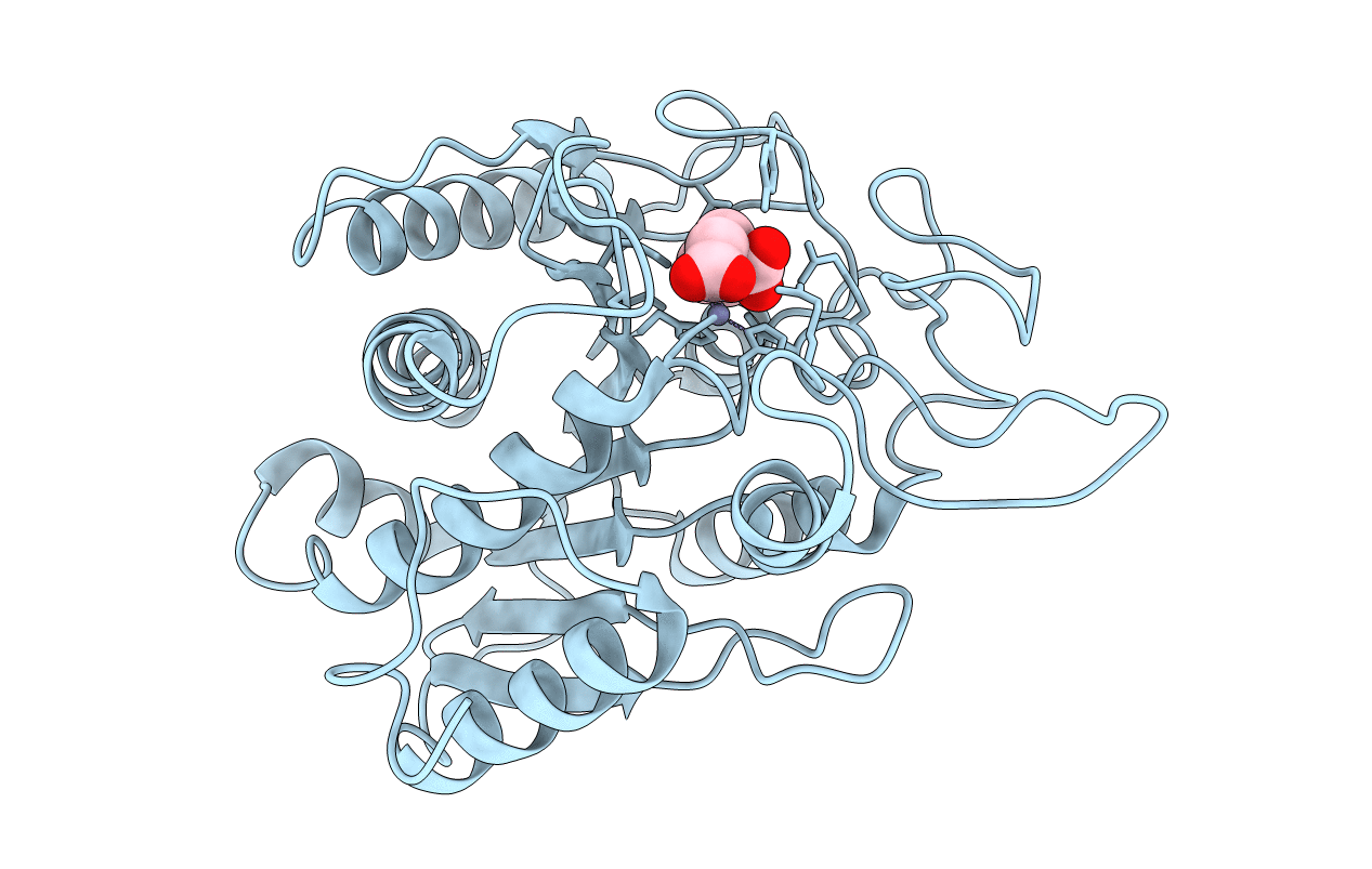 1CBX image