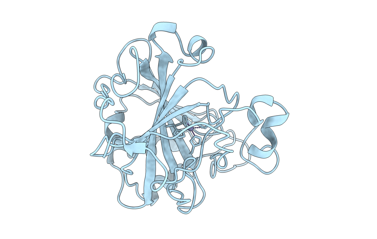 1CCS image