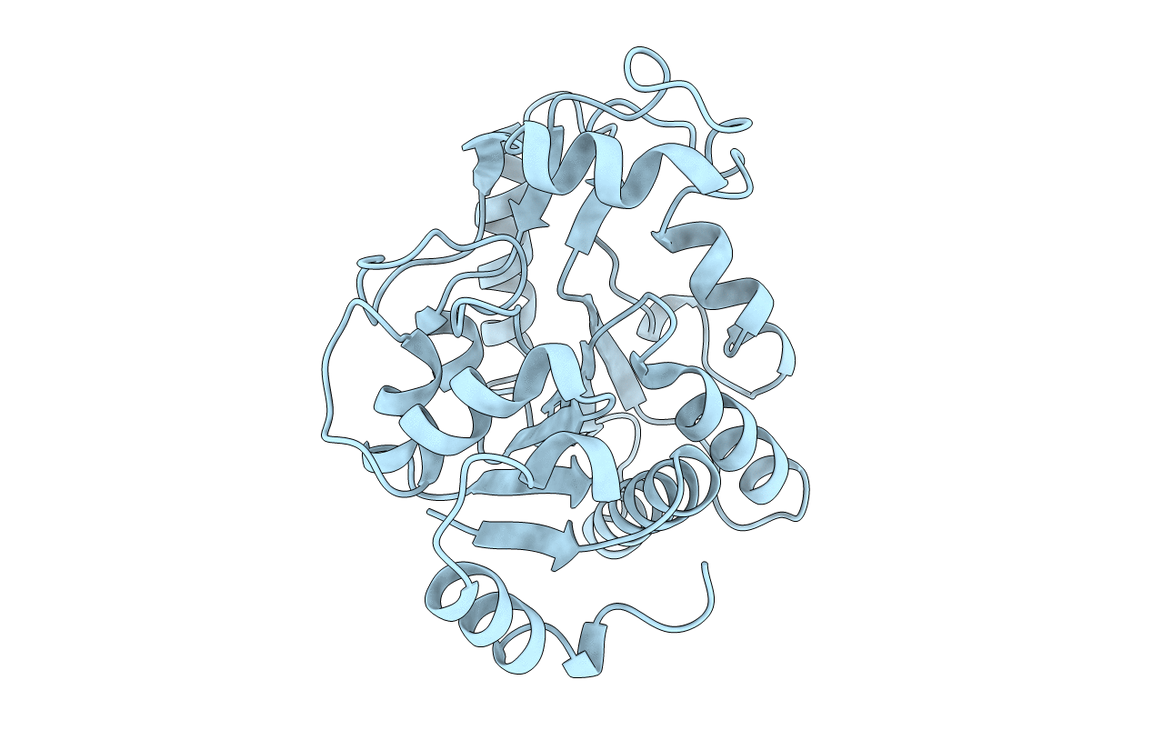 1CD5 image