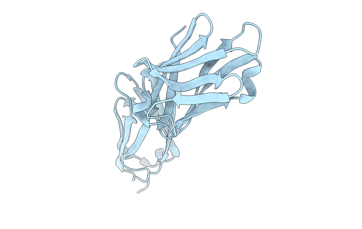 1CDI image