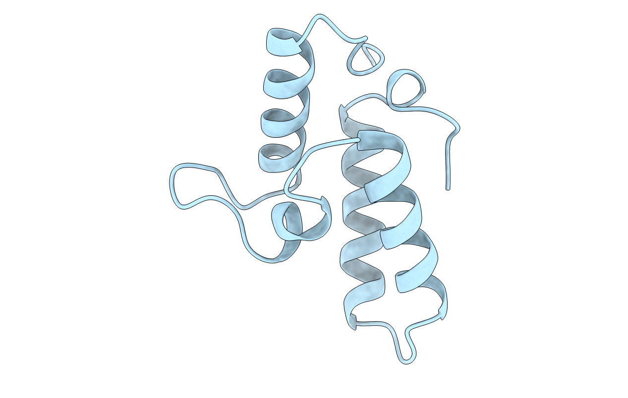 1CEI image