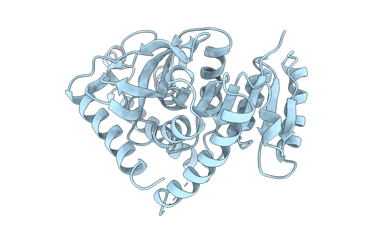 1CEQ image