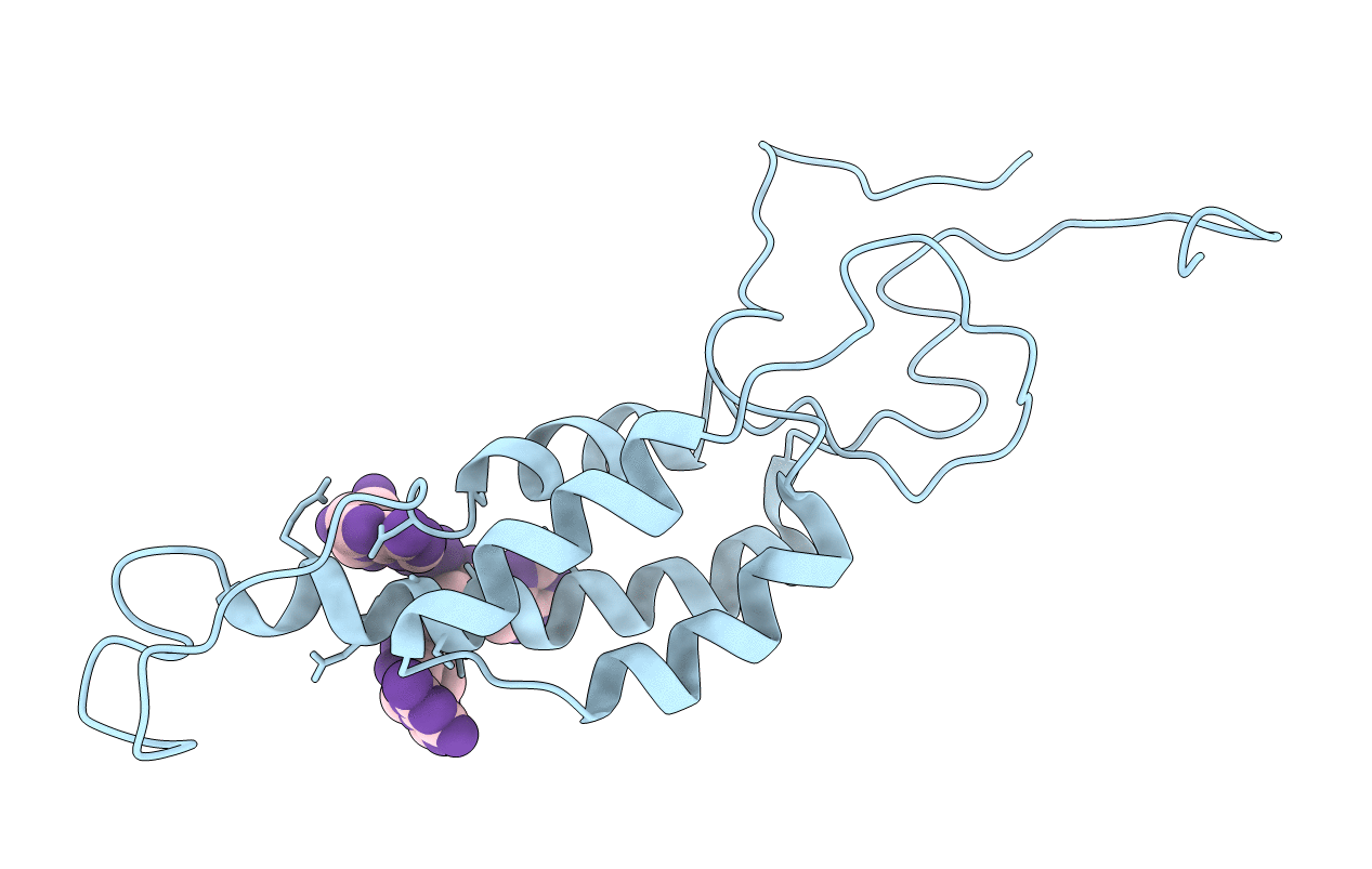1CGM image