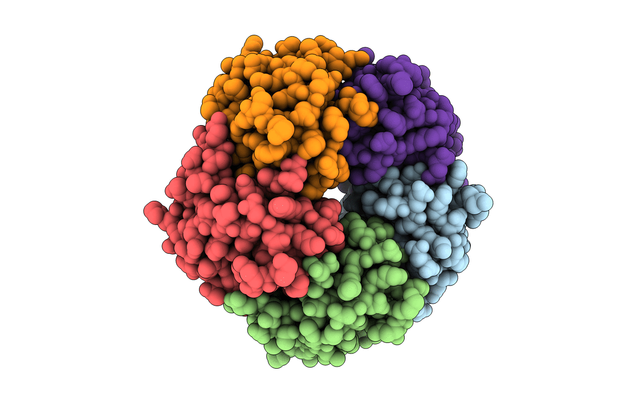 1CHP image