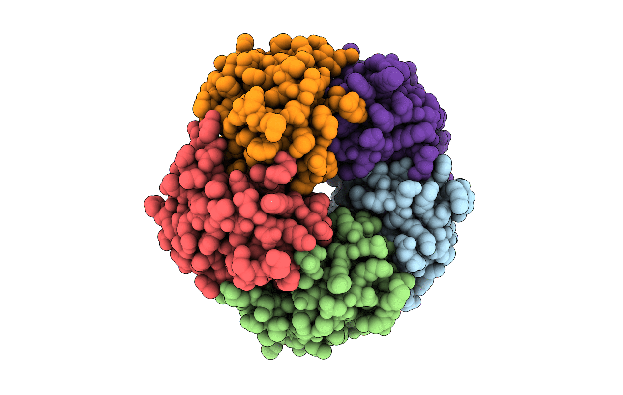 1CHQ image