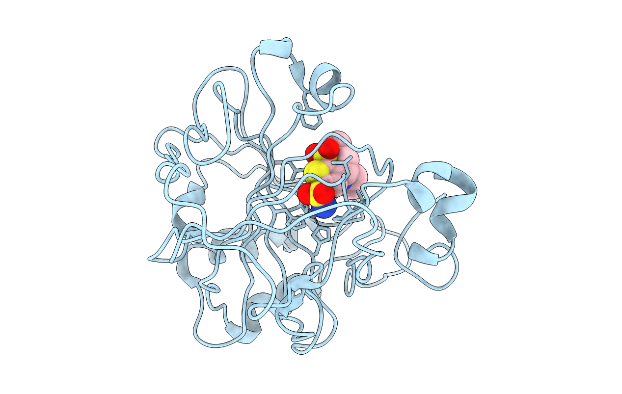 1CIL image