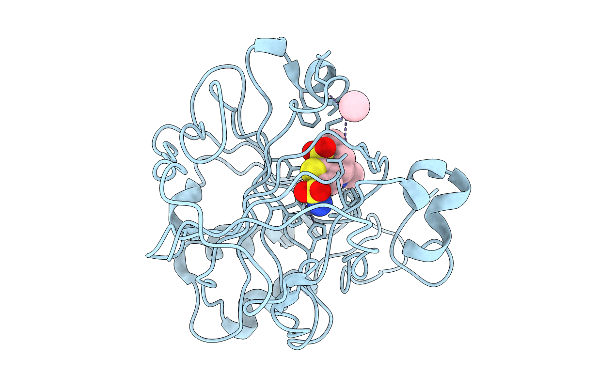 1CIN image