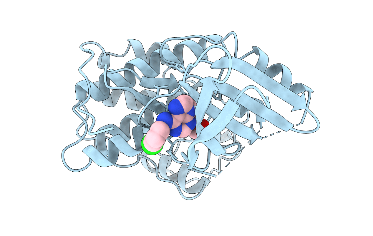 1CKP image