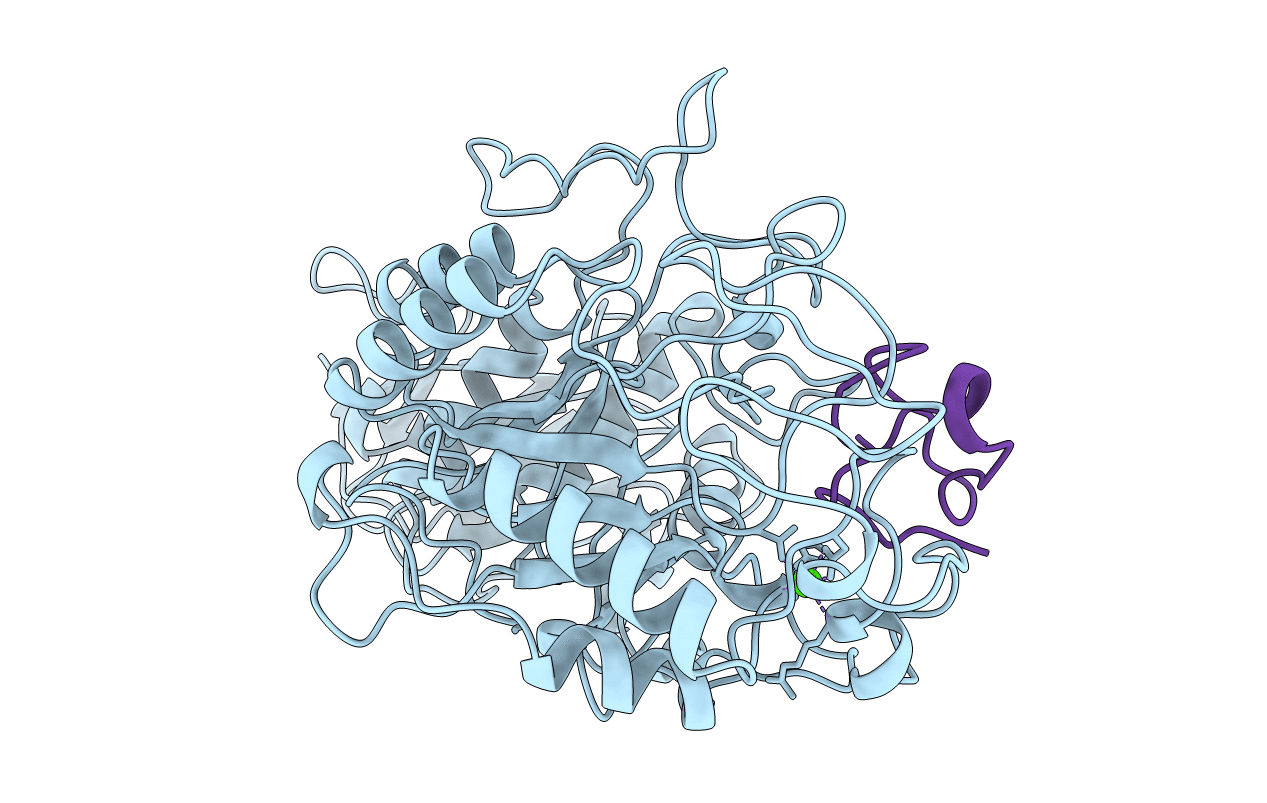 1CLV image